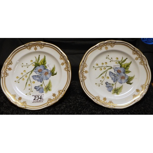 234 - Two Spode collectors' plates