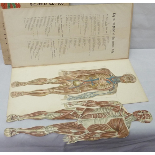 354 - A Philips' Popular Mannikin anatomy book edited by W S Furneaux and published by George Philip & Son... 