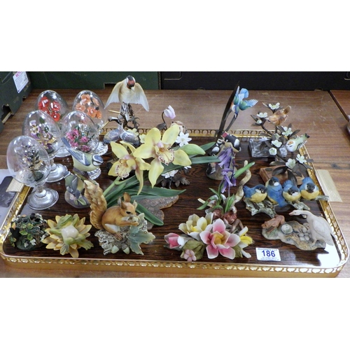 Lot 186       