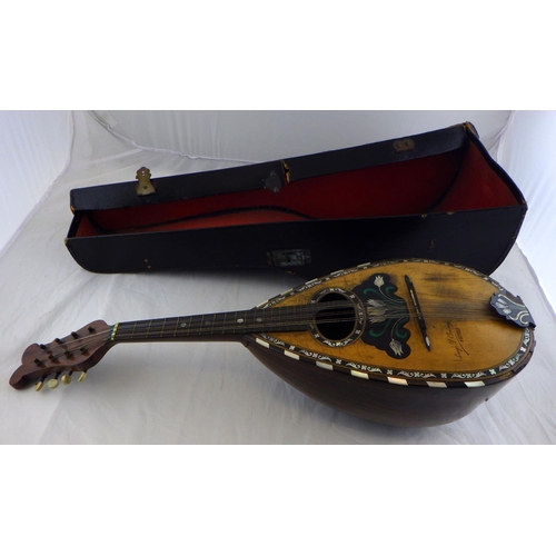 74 - A Lugi D' Amore Mandolin af