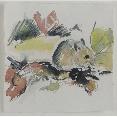 61 - A mouse in leaves, watercolour and pencil, unsigned.  18 x 18cm decal edge sheet on mount board in b... 