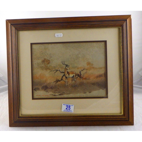 25 - Johnnie de Kock framed watercolour Kudo 17 x 23cm (foxing)