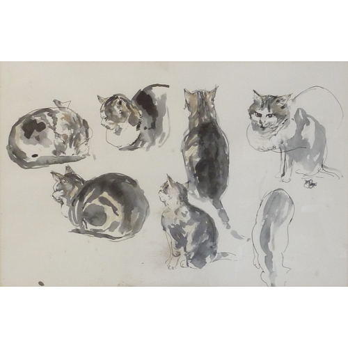 83 - Studies of a cat, watercolour monogrammed AT (?) 1986, 54 x 35cm presented in a mount and frame.  Fr... 