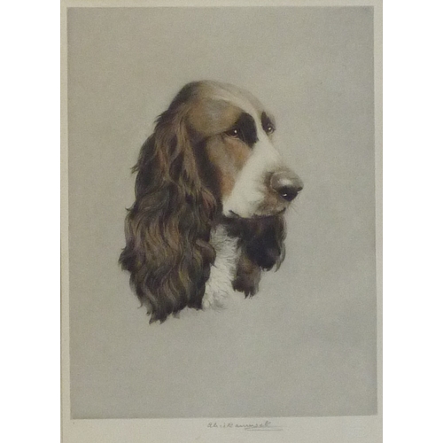 69 - Portrait of a gun dog, signed etching Alice Barnwell, 20 x 27cm in mount and frame; a landscape view... 