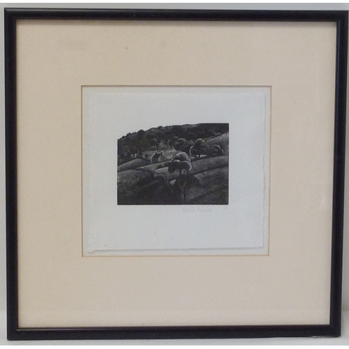 69 - Portrait of a gun dog, signed etching Alice Barnwell, 20 x 27cm in mount and frame; a landscape view... 