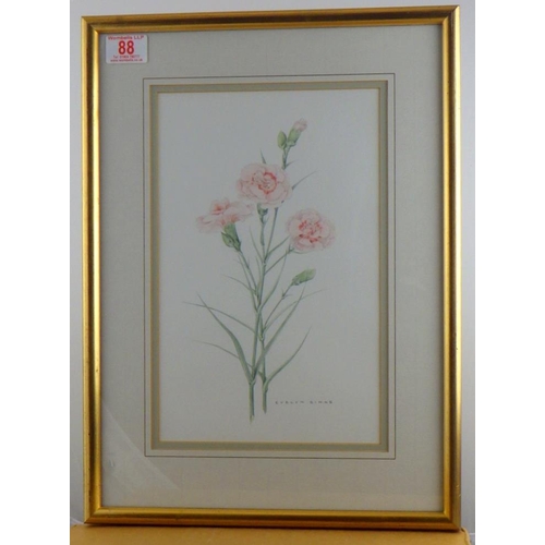 88 - Pinks, botanical study in  watercolours, Evelyn Binns, 19 x 31cm presented in a double mount and fra... 