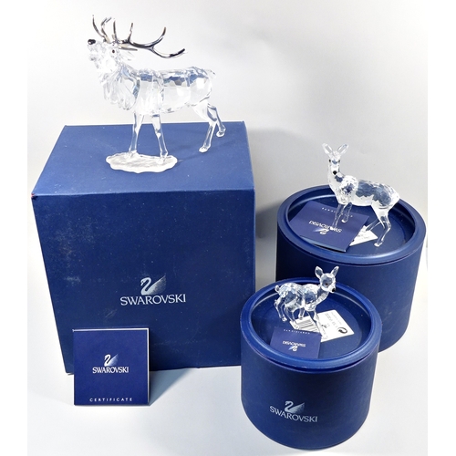 428 - A Swarovski crystal Stag together with two Deer (3)