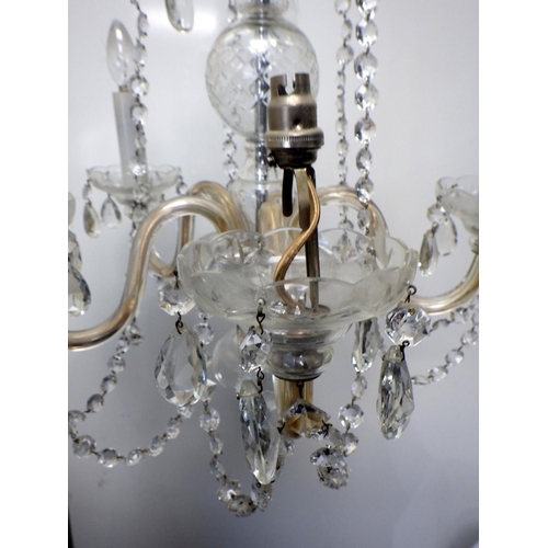 788 - A pair of 5 Branch glass chandelier's AF
The Estate of Mr Darrell Buttery