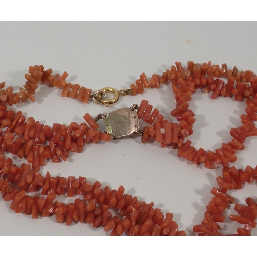 41 - A double strand necklace comprising irregular coral beads, the whole closing on a yellow metal clasp... 