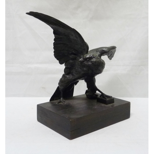 12 - A bronze depicting a hawk.  29cm across wings.