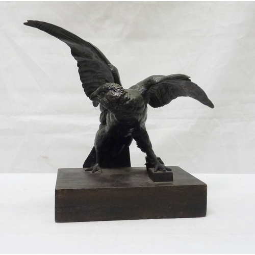 12 - A bronze depicting a hawk.  29cm across wings.