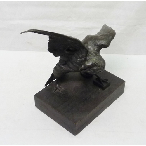 12 - A bronze depicting a hawk.  29cm across wings.