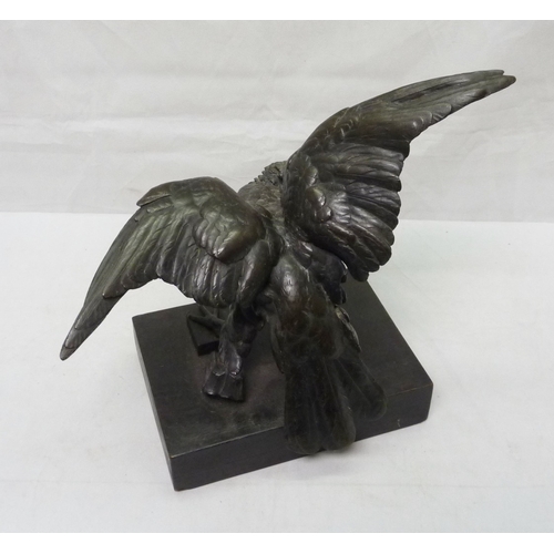 12 - A bronze depicting a hawk.  29cm across wings.