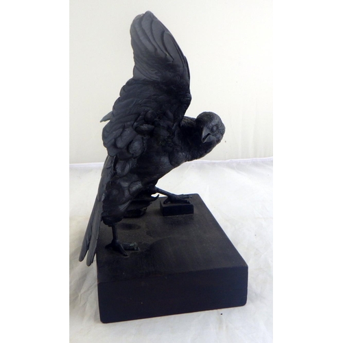 12 - A bronze depicting a hawk.  29cm across wings.