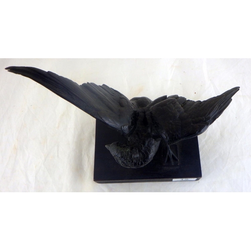 12 - A bronze depicting a hawk.  29cm across wings.