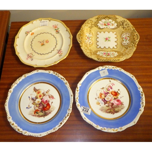 232 - 9 A pair of 19th painted porcelain dinner plates, the centres richly painted with flowers within a b... 