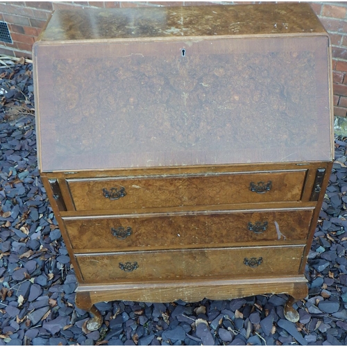 505 - A burr walnut bureau on cabriole legs, 80cm wide, ex The Retreat (104)