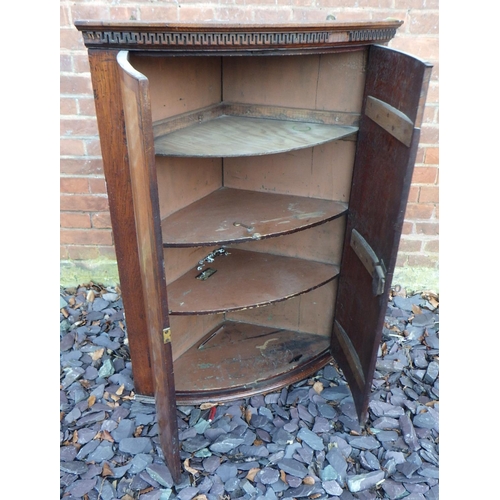 555 - A Geo III oak & mahogany banded bowfronted hanging corner cupboard, 98cm tall, ex The Retreat (77)