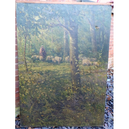 568 - Oil on canvas, sheep & shepherd in woodland, 127cmx92cm, bearing signature, F.E. Grone, together wit... 