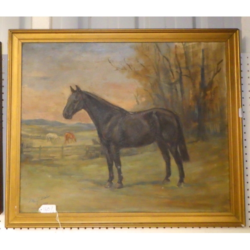 160 - An indistinctly signed ??Amy Burton 1936?? oil on canvas of a horse 62 x 52cm together with a framed... 