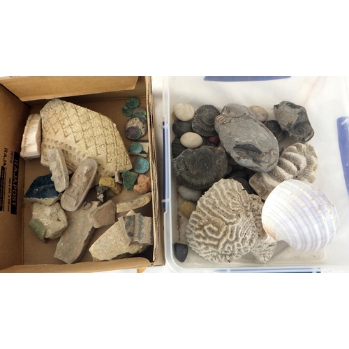 293 - Two boxes of misc shells, fossils etc (2)