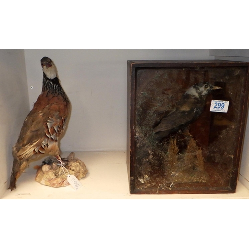 299 - Two early 20thC taxidermy birds