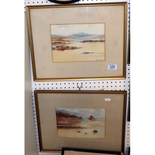 329 - A group of various framed prints to York interest together with two S Barnes Robson watercolours and... 