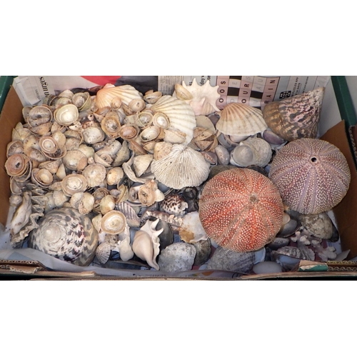 375 - Two boxes of misc shells (2)