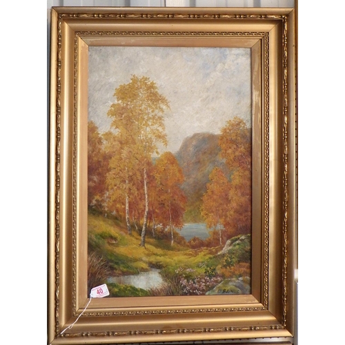 40 - River view landscapes, a pair of paintings on canvas signed D Baines, early 20th cent, 40 x 60cm; an... 