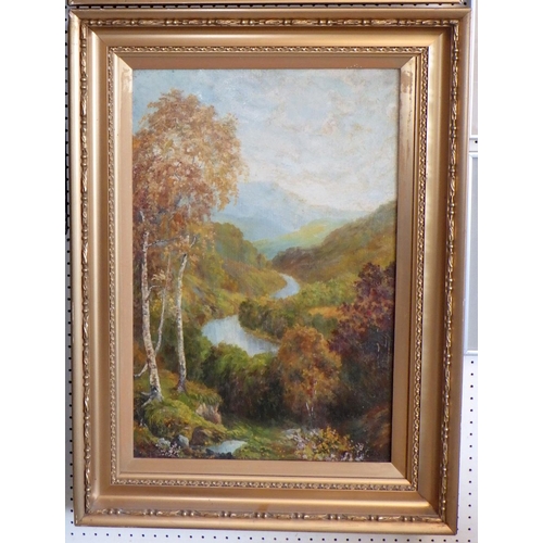 40 - River view landscapes, a pair of paintings on canvas signed D Baines, early 20th cent, 40 x 60cm; an... 