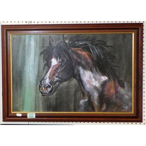 208 - A Brazilian school horse portrait, painting on board. 57 x 38cm within frame.