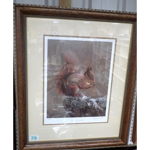 218 - Squirrel Nutkin, limited edition print after Robert E Fuller, 29 x 39cm within mount and frame; two ... 