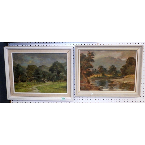 224 - Cumbrian Landscapes, a pair of paintings on board, initialled JD.  Each 39 x 29cm within frames. (2)