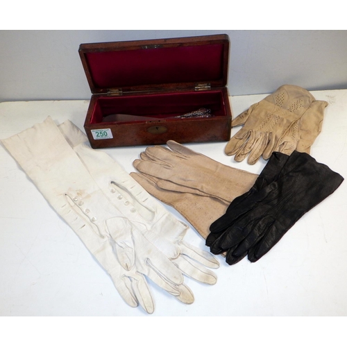 250 - A Victorian burr veneered glove box and contents.