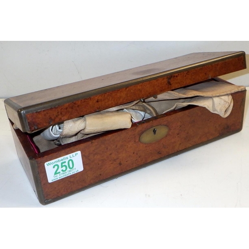 250 - A Victorian burr veneered glove box and contents.