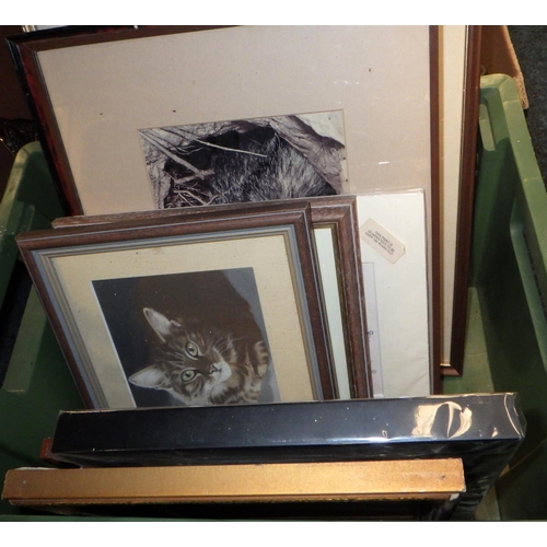 467 - A quantity of miscellaneous items including pictures, prints, CDs, records, ceramics and glass etc (... 