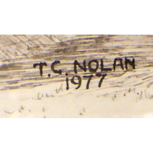 427 - Two pictures signed TC Nolan 1977 (2)