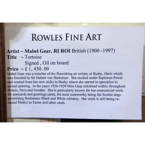 351 - Mabel Gear (1900 - 1997) Tortoise oil on board 46 cm x 62 cm inc frame. Sold by Rowles Fine Art, sig... 