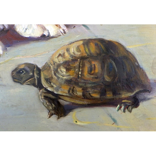 351 - Mabel Gear (1900 - 1997) Tortoise oil on board 46 cm x 62 cm inc frame. Sold by Rowles Fine Art, sig... 