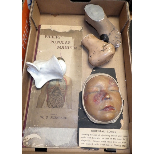 151 - A wax work moulage depicting Oriental Sores on a child's face; other medical interest plasterwork; a... 