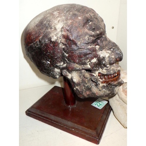 221 - A resin skull together wit a stone skull (2)