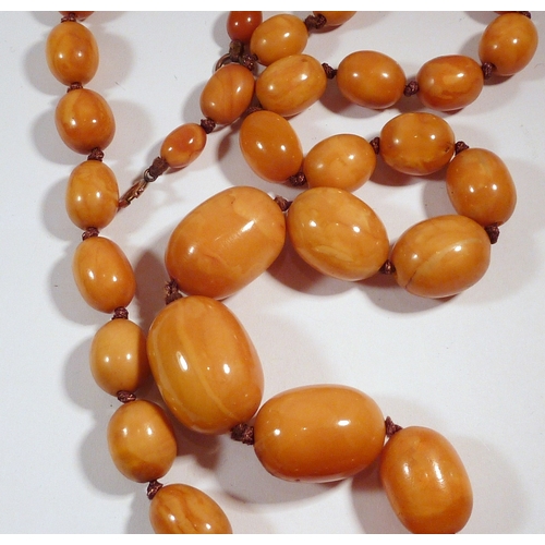62 - A necklace of thirty seven graduated butterscotch amber beads.  Largest bead approximately 26 x  18m... 