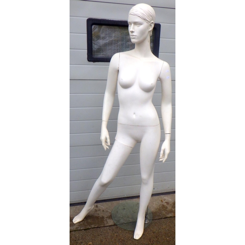 753 - A shop mannequin