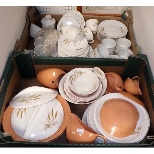 62 - A qty of Bristol Harvest home table ware together with Winterling tea ware (2)