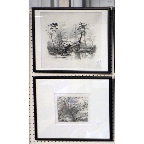 24 - A group of 12 black and white etchings