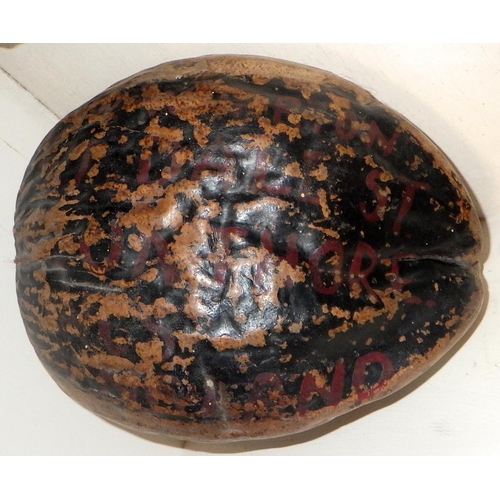 301 - A large nut