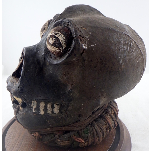 306 - A paper mache skull in a glass dome
