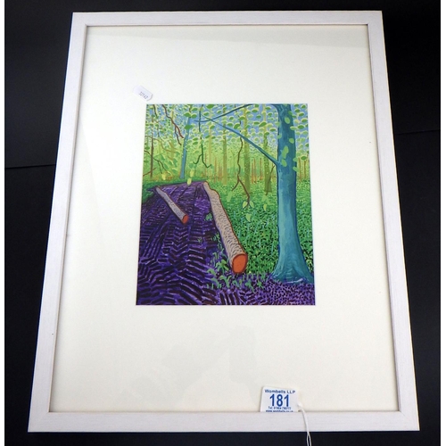181 - David Hockney framed print