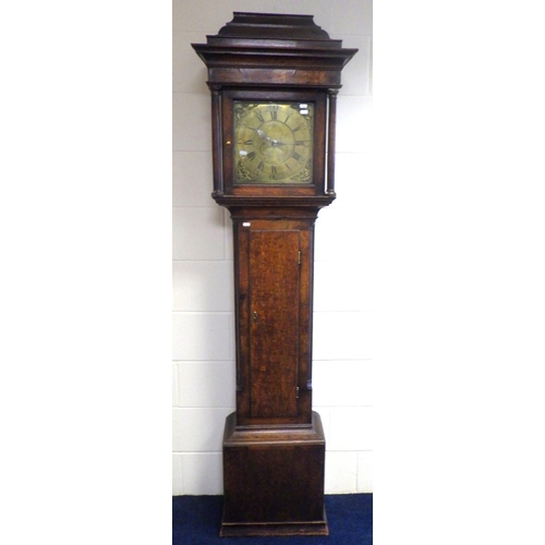 762 - A 30 hour oak longcase clock with brass face, signed John Steel, missing feather, 204cm tall