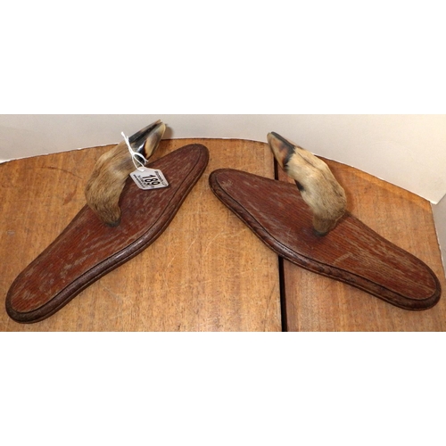 189 - Two taxidermy mounted hooks together with four cast metal claw and ball feet (6)